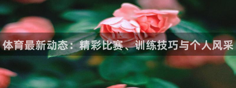3377体育官方正版app娱乐首页网站大全：体育最新