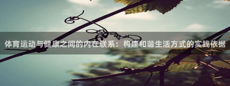 3377体育官网下载：体育运动与健康之间的内在联系：