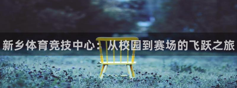3377体育官方正版app娱乐首页网站大全：新乡体育