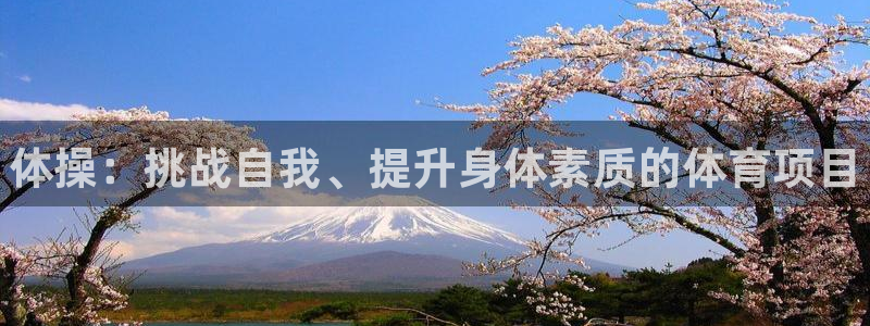 3377体育官方正版app集团官网网址：体操：挑战自