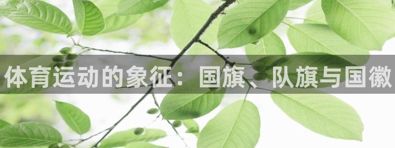 3377体育官网下载平台注册流程图：体育运动的象征：