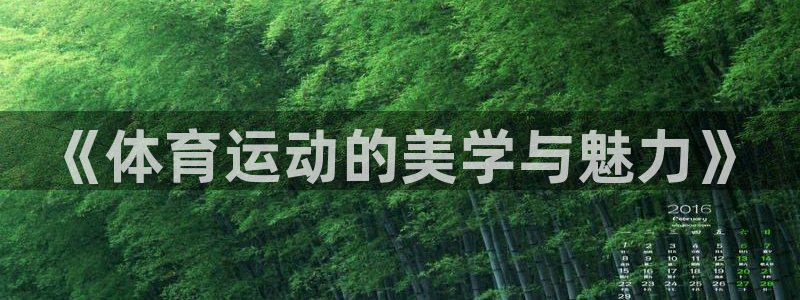 3377体育官网下载招商电话地址：《体育运动的美学与