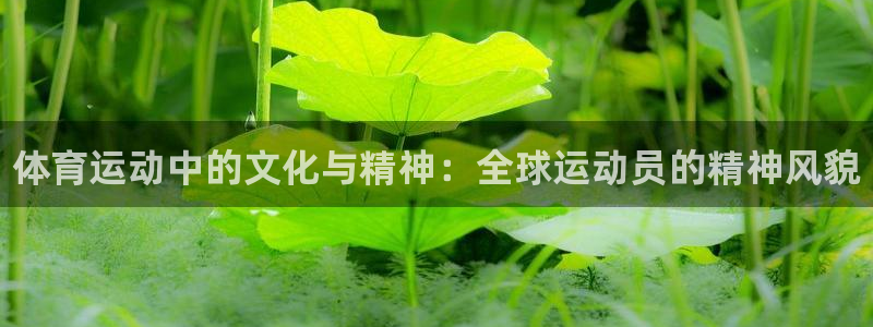 3377体育官方正版app开户：体育运动中的文化与精