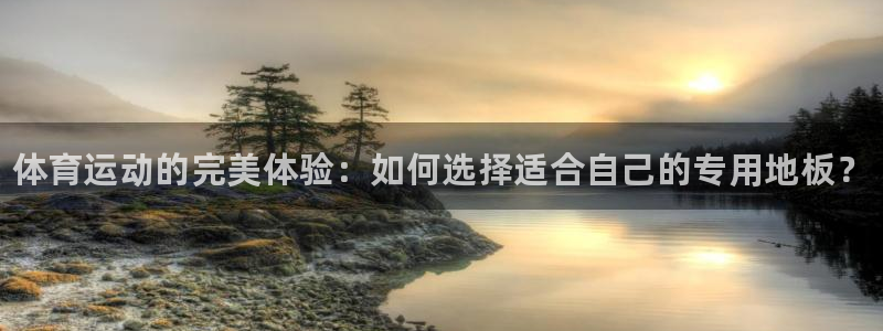 德国3377体育官方正版app集团：体育运动的完美体