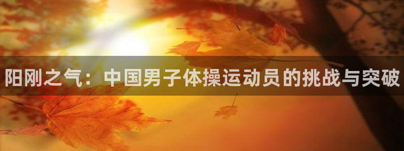 3377体育官网下载平台注册要钱吗安全吗：阳刚之气：