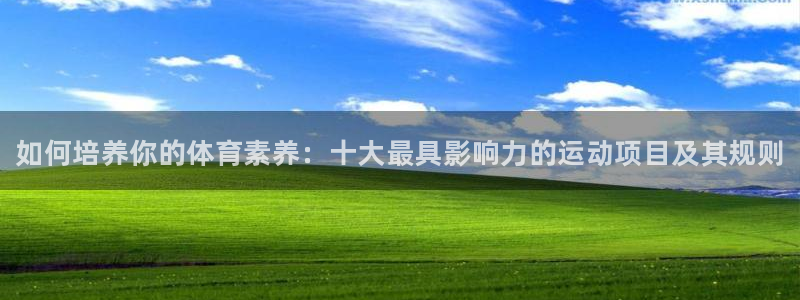 3377体育官网下载平台APP：如何培养你的体育素养