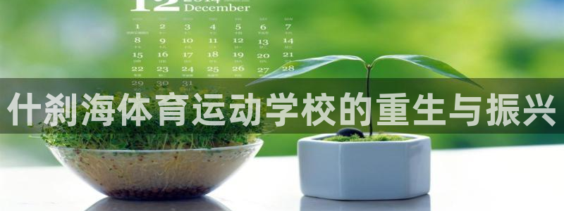 3377体育官网下载平台注册流程视频：什刹海体育运动