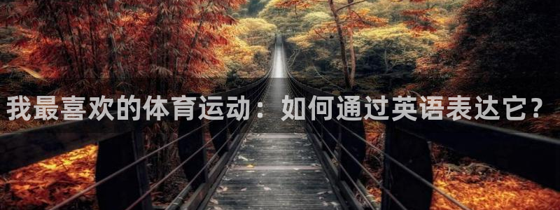 3377体育官方正版app科技：我最喜欢的体育运动：如何通过
