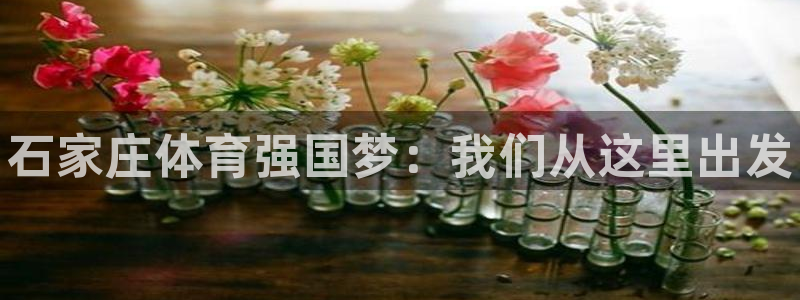 3377体育官网下载平台假的吗是真的吗：石家庄体育强国梦：我
