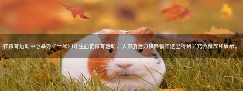 3377体育官网下载招商电话地址查询：在体育运动中心举办了一