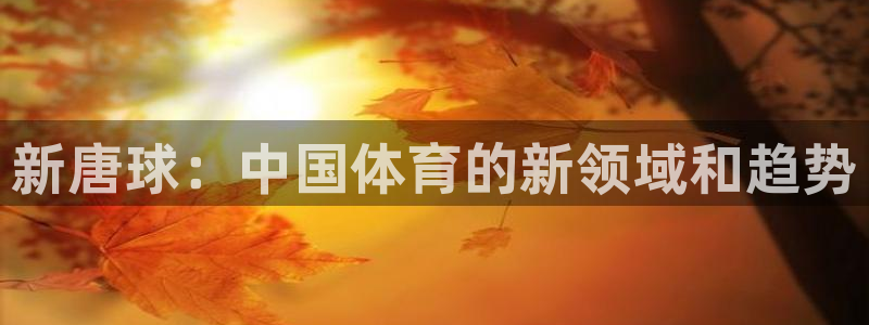 3377体育官方正版app代理