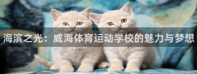 3377体育官方正版app代理：海滨之光：威海体育运