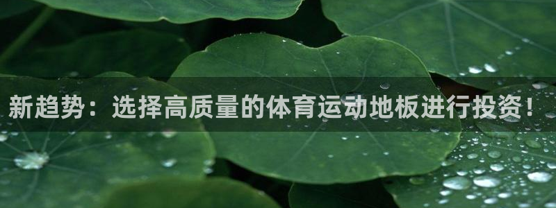 3377体育官网下载招商电话地址查询：新趋势：选择高