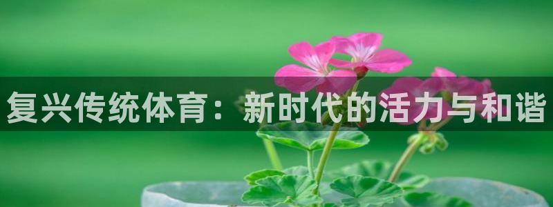 3377体育官方正版app集团官网首页网址