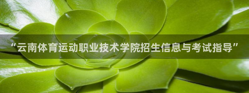  3377体育唯一官方网站：“云南体育运动职业技术学院招生信息