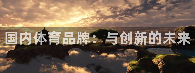  3377体育游戏：国内体育品牌：与创新的未来