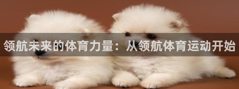  3377体育提款容易通过吗为什么：领航未来的体育力量：从领航