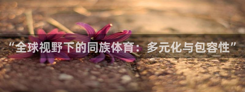 3377体育手机平台：“全球视野下的同族体育：多元化与包容性