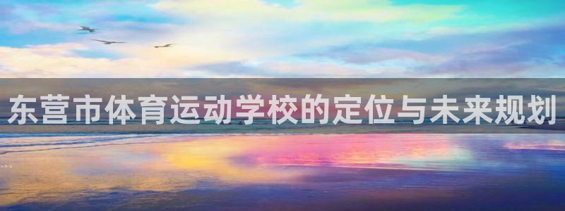 3377体育可信吗：东营市体育运动学校的定位与未来规划