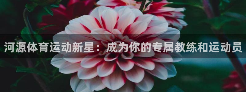 3377体育app属不属于病毒应用：河源体育运动新星：成为你