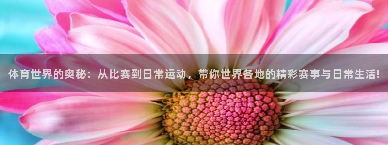 3377体育被国家取消了吗今天：体育世界的奥秘：从比赛到日常