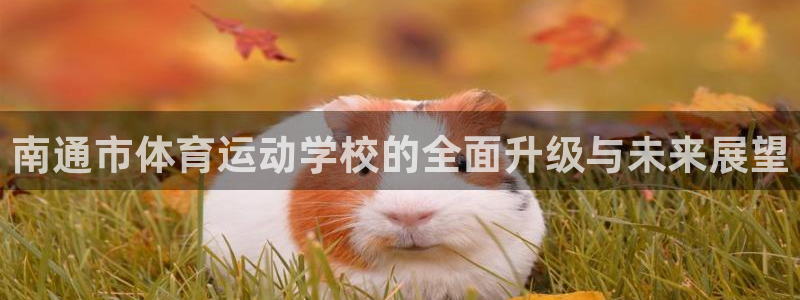 3377体育骗了多少人：南通市体育运动学校的全面升级与未来展