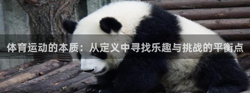  3377体育是哪的：体育运动的本质：从定义中寻找乐趣与挑战的