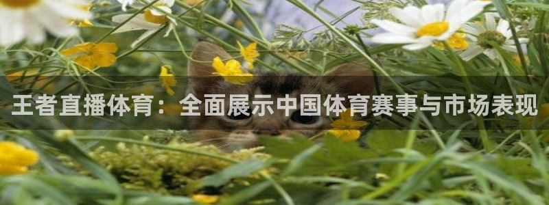 蓝鲸直播软件