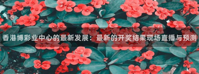 蓝鲸的视频真实