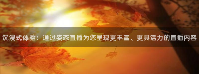 蓝鲸的视频大全