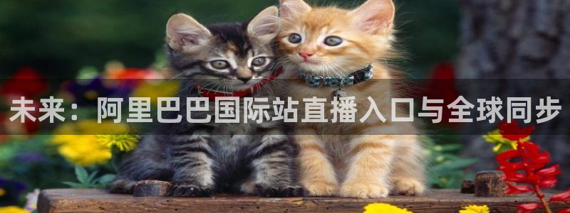 蓝鲸直播网站