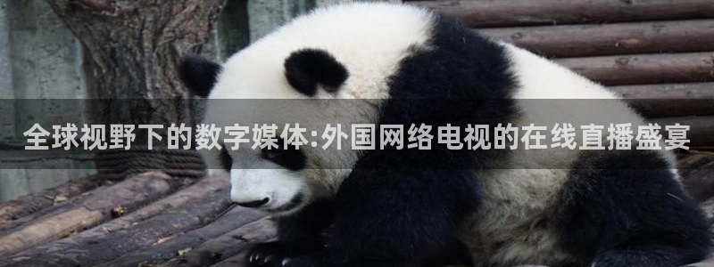 蓝鲸体育直播在线观看：全球视野下的数字媒体:外国网络电视的在线直播盛宴