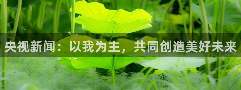 蓝鲸直播app下载：央视新闻：以我为主，共同创造美好未来